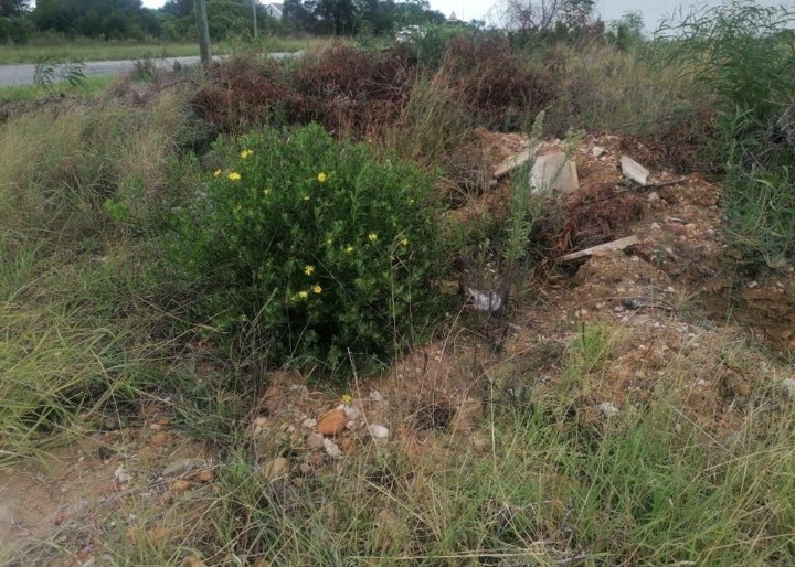 Commercial Property for Sale in Wavecrest Eastern Cape